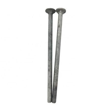 China Manufactory 2205 carriage bolt 201 201 knurled thumb screw 1mm micro screws chicago rivet