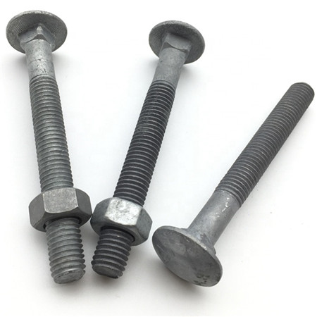DIN 603 Stainless Steel M12 M6 Carriage bolt Plough Bolt