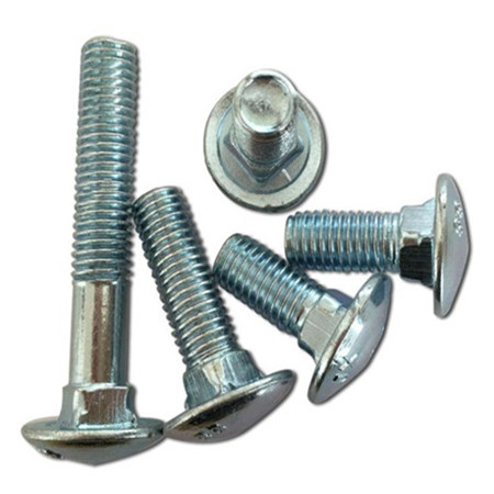 Hex Head 603 Din 603 Bolts Carriage Bolts Stainless Steel 18-8 DIN 603 Carriage Bolt