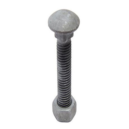 Din603 Carriage Bolt Stainless DIN603 Big Head Stainless Steel Fine Thread Carriage Bolt