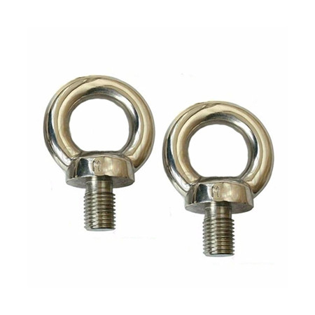 DIN603 Ss304 Head Mushroom Neck Neck M8 Carriage Bolt M10 Stainless Steel SS 304